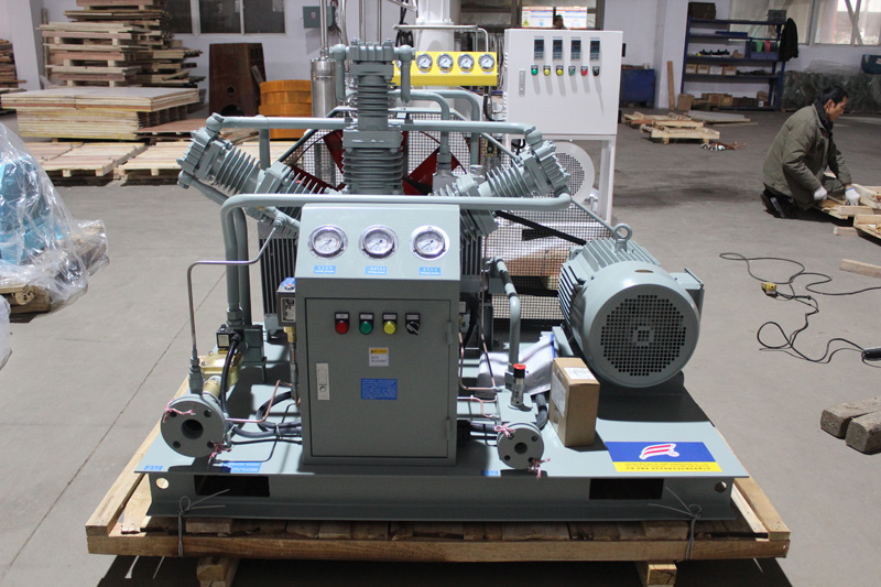 thiết kế thời trang m&aacute;y n&eacute;n kh&iacute; nitơ kh&ocirc;ng dầu WW-100-6-30 (4)